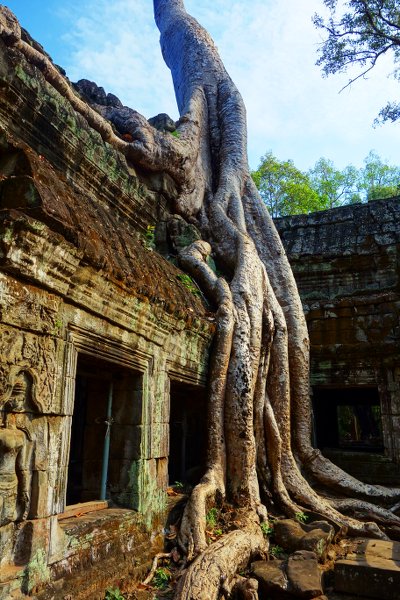 Ta Prohm Plan
